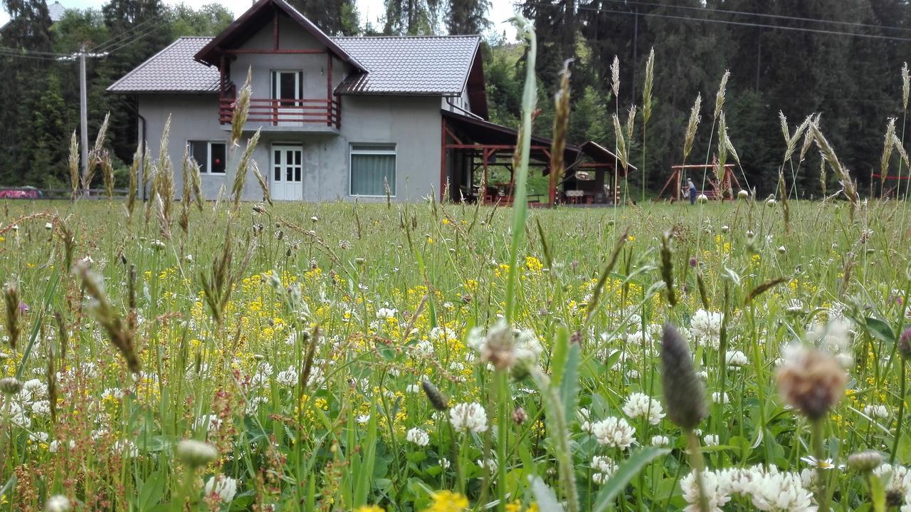 Cabana Georgiana Arieseni Bagian luar foto